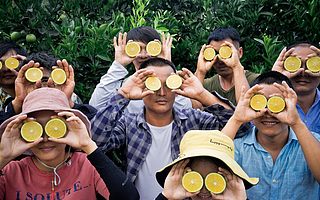 原創 拼多多聯手褚橙，游戲化運營力推“云冠橙”