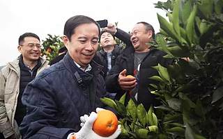 这座3000万人口的“网红城市”，如何成了阿里巴巴眼中的“香饽饽”