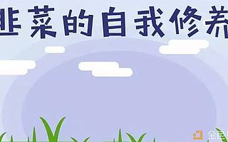 主力為刀俎我為魚肉:論新手如何在幣圈更好的生存