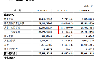 龍軟科技招股書財務數(shù)據(jù)與年報對不上 審計機構(gòu)為瑞華