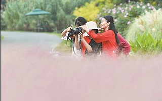 常州市2019创意芒草节开幕