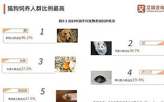 小米布局智能寵物家居 千億藍海市場PE機構竟然不看好？