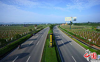 “川果”特色發(fā)展的急先鋒——四川省蒲江縣國家現(xiàn)代農(nóng)業(yè)產(chǎn)業(yè)園創(chuàng)建紀(jì)實