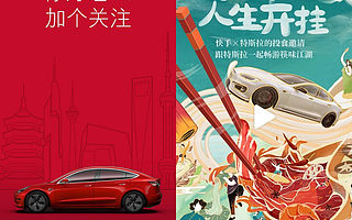 国产的特斯拉，走下神坛