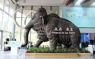 易簡胡衍軍、海辰出國張雙虎出任未來企業(yè)家俱樂部廣州深圳合伙人