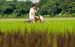 农业B2B电商“农苗小二”完成天使轮融资 青山资本投资