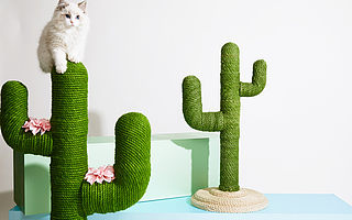 宠物品牌未卡Vetreska完成600万美元A+轮融资，从KOL到C2C获取新流量