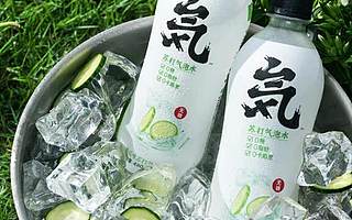 “元気森林”即将完成新一轮 1.5 亿元融资，估值 40 亿元，龙湖、高榕、黑蚁资本注资