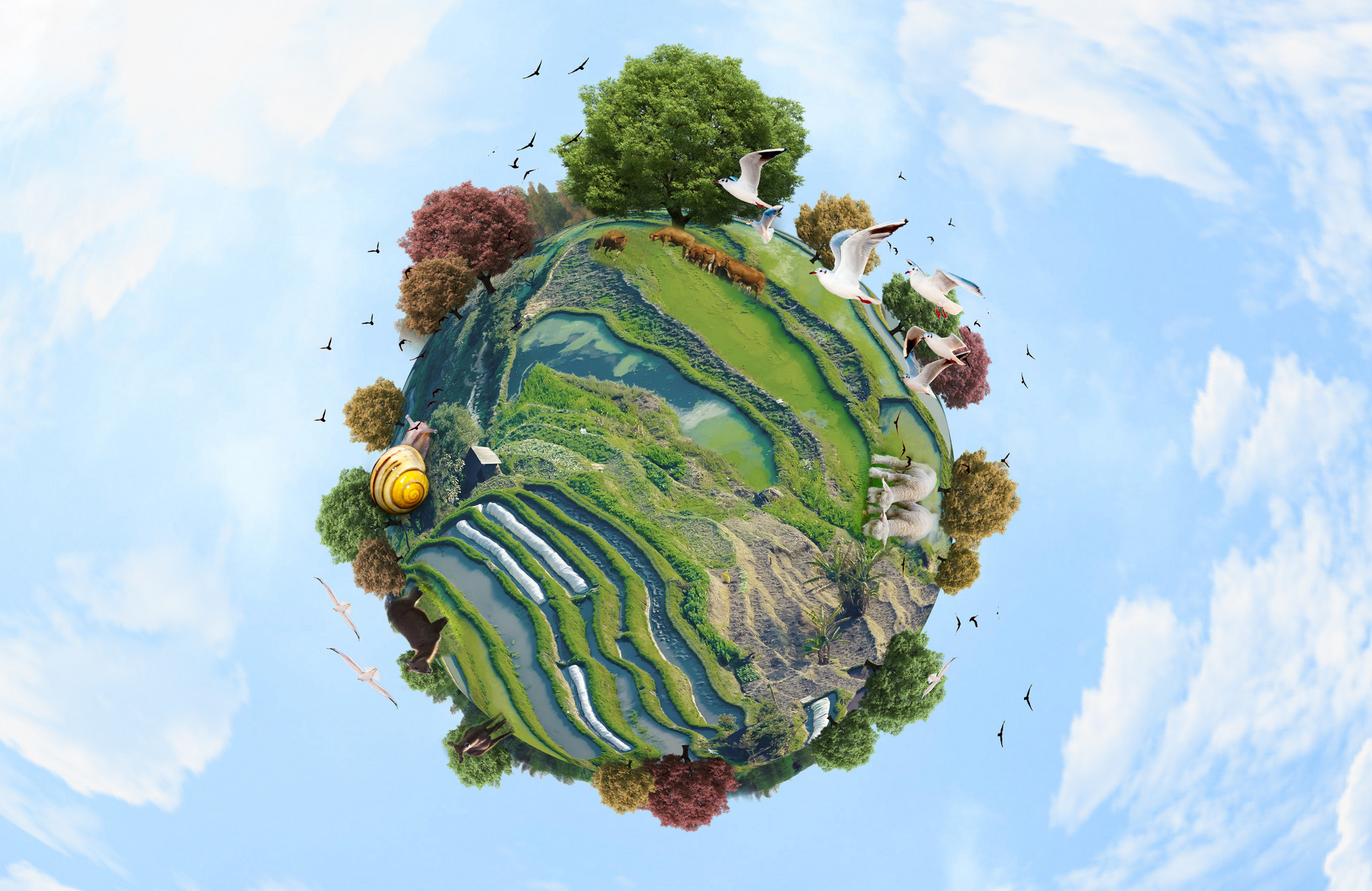 腾讯张敏毅明道铸生态：双流合璧　打造生态新引