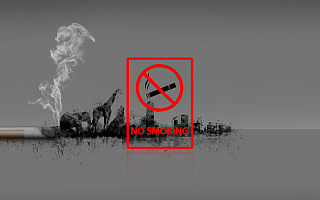 国家烟草专卖局、国家市场监督管理总局：互联网平台全面禁售电子烟！