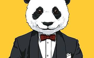 专注糕点O2O 两年累积500万用户 “熊猫不走”获数千万元Pre-A轮融资