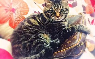 二手奢侈品:处理闲置的中年人与消费奢侈品的年轻人