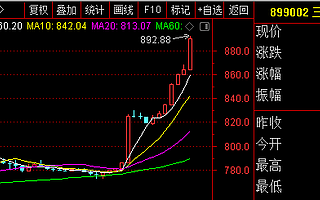 三板做市指數(shù)突破890點(diǎn) 賽德麗等28只個(gè)股漲幅超10%