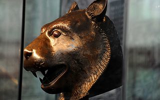 三叔咨询|持有拍卖经营许可证的公司有转让吗