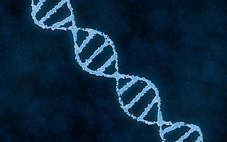 为了增强手臂肌肉，我改变了自己的一段基因