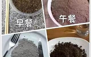 刷抖音点赞就月入过万！全球人民奔向共富