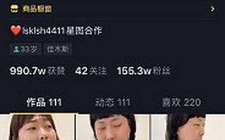 “人间观察家”，“东北民间艺术家”，拍视频的老四为何能走出东北，走向全国?