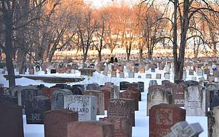 这一年，36家明星企业死亡：P2P、教育、长租公寓行业成重灾区