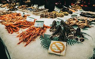 奔向4700億的中國冷鏈，將如何改寫食品行業？