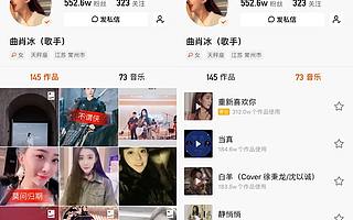 老铁们让「长尾音乐」成为全网爆款