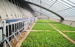 “農(nóng)政齊民“完成千萬Pre-A+輪融資 客戶訂單量約1.5億