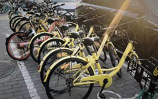 ofo还在招人，搬进共享办公，半年退100万用户押金