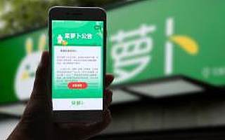 5个月烧光6亿，又一个独角兽倒下了？