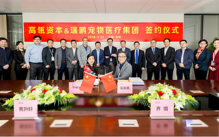 牽手高瓴一周年，新瑞鵬海外上市厲兵秣馬