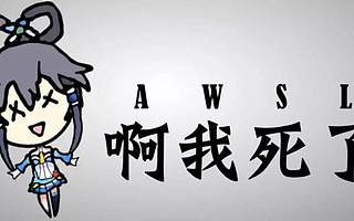 AWSL成B站年度弹幕，这些年轻人在想啥？