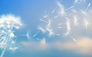 如何做一场裂变活动？