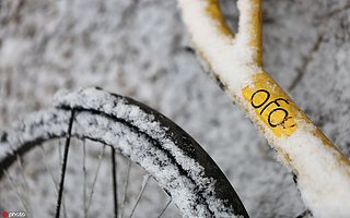 传ofo年底裁员百人:占仅剩员工一半,或再次搬家压缩成本