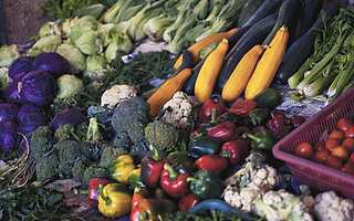 日常場景細節和反技術崇拜，或許更能讓我們了解“新消費”