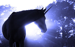 2019再創新高，21家女性創企加入獨角獸俱樂部