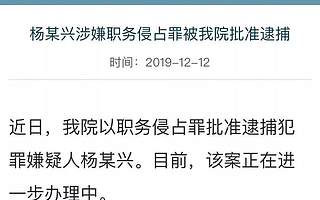 這位清華畢業的幣圈大佬被抓，曾為全球最大礦機公司設計芯片