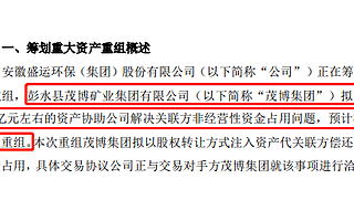 盛運環保瀕臨破產 茂博集團擬注入18億資產協助解決資金占用