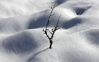 2020的第一天 这16位创投圈的机构合伙人有话对你说