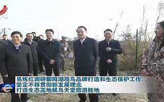 省长易炼红在高新区调研鄱阳湖观鸟品牌打造和生态保护工作