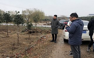 省林业局督查新北区长江两岸造林绿化工作