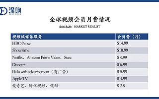 2020视频付费向阳而生