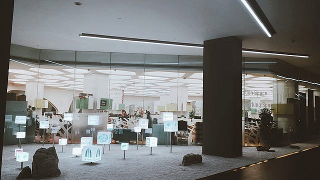 见道空间