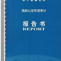 高新技术企业认定专项审计报告