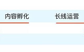 每个互联网公司都需要个IP“鱼塘”