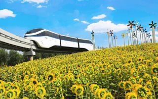 云轨之下|探秘比亚迪在巴西的故事