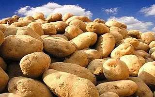 只服务于马铃薯种植 这家公司却拿到数百万融资 付费客户已超300个