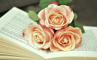 提升社群活躍第二招-儀式感為社群賦能