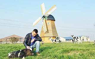 房地产大佬斥资4.6亿去养牛，今年又投5个亿建工厂，他怎么想的？