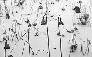 比疫情更讓人擔(dān)心的，是中小企業(yè)