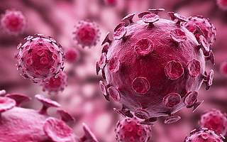 汽车企业驰援武汉新型冠状病毒肺炎防控工作捐赠统计 | 更新至1月30日