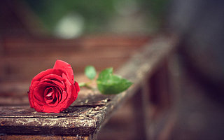 2月14日情人節(jié)朋友圈文案集錦