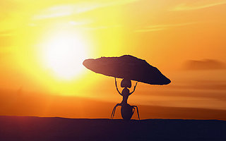 國家新興產(chǎn)業(yè)創(chuàng)投引導(dǎo)基金三大管理機(jī)構(gòu)聯(lián)合發(fā)聲：關(guān)鍵時(shí)刻發(fā)揮好“穩(wěn)定器”“調(diào)節(jié)器”作用